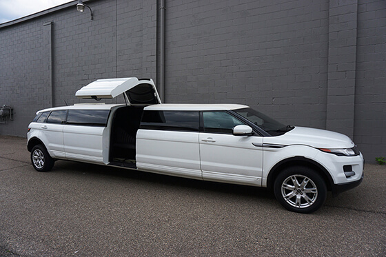 12-passenger limo