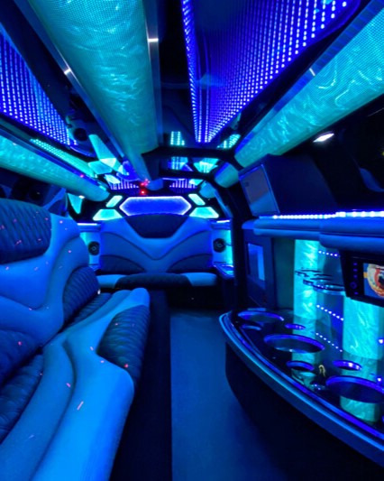 stretch limo interior